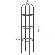 Tuteur de Jardin Colonne rosiers Support pour Plantes grimpantes Obélisque de Jardin Tuteur pour végétaux Macaron