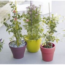 Tuteur acier plastifié steel plast ø 16 mm x 1,8 m Nortene