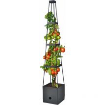 Spetebo - Support à Tomates en Pot - 150 cm h - Support de Croissance avec Fond d'Arrosage