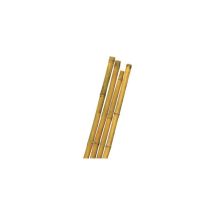 Tutore Canna Bamboo Mm 22/24 H.cm 210 - Conf. 10 Pz