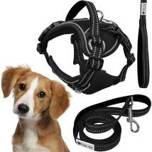 REA - tutumi hundeleine und geschirr PJ-055 m black