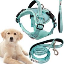 REA - tutumi hundeleine und geschirr PJ-061 l green