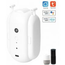Smart Bluetooth Motore Robot per Tenda Binario Curvo o Dritto - Tuya