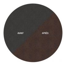 Uccello su un picco in acciaio corten per mangiatori di api