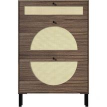 Scarpiera con 2 Scarpiere e 1 Cassetto, Scarpiera in Rattan, Scarpiera Stretta, Scarpiera nel Corridoio, 70 x 24 x 119 cm, Marrone - UEV