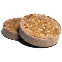 Ugro - Lot de 1000 Plug Bulk Rhiza - 38mm