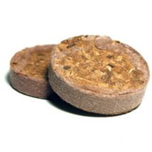 Ugro - Lot de 24 Plug Coco