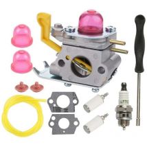 Ulisem - Vergaser, kompatibel mit poulan FL26 FX26 FX26S XT260 XT700 SST25C C1U-W24 C1U-W18