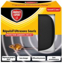 Ultraschall-abwehrmittel Intermittierend Mäuse /nc - Protect Expert