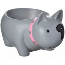 La Chaise Longue - Un coquetier chien gris