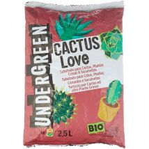 Undergreen Cactus Love, Terriccio Per Cactus E Altre Piante Grasse Da Appartamento O Balcone, Consentito In Agricoltura Biologica, 2,5 L