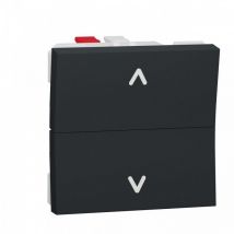 Bouton store schneider NU320754 anthracite