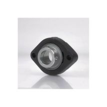 NTN - Unidad de alojamiento de cojinetes de brida ASFB204 25 mm de 47 mm di 20 mm ovalada