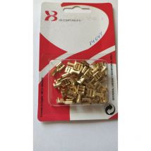 Unisolierte 6,3mm Female Faston Terminals (35 Stück)