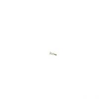 Bailey - 1749 Universal Double Worm Screw Drain Unblocking Tool 2 Inch BAI1749