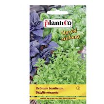 Graines Plantico Basilic Mix Annuel Aromatique 0,5g
