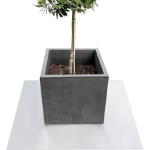 Untersetzer Für Blumentöpfe Mit Abgeschrägter Kante Majesty Hellgrau Rund 60 Cm Durchmesser
