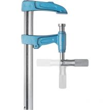 Schraubzwinge 120x 300mm