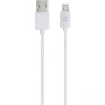 USB-Kabel usb 2.0 usb-a Stecker, Apple Lightning Stecker 1.00 m Weiß 255649 - Realpower