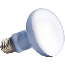 Bluedeer - Uva + uvb Reptile Lampe Ampoule Tortue Basting Uv Ampoules Lampe Chauffante Amphibiens Lézards Contrôleur De Température - 100W