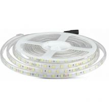 Bande led SMD5050 10W/m 5m 60 LED/m 24V 4000K IP65 11.4mm - V-tac