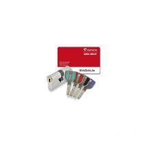 Vachette - cylindre profilé haute sécurité radialis fonction synkro, nickelé, 4 clés incopiables + carte de propriété, dim, 32,5 x