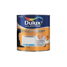 Dulux Valentine Peinture acrylique Color Resist Nacre Mat 1 l