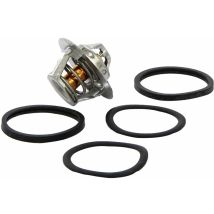 Termostato Refrigerante Valeo 819946 – Compatibile con Citroen, Peugeot, Talbot – Codici originali: 1338-37, 7910016560