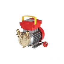 Elettropompa travaso ottone ce Rover