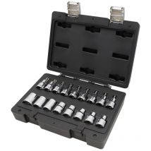Beta bw 923E-FTX/C17 Set di 17 chiavi a bussola per viti con profilo Torx in cassetta di plastica