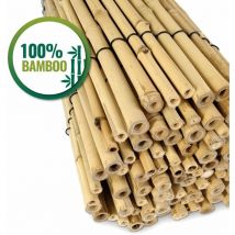 Happers - Valla jardín bambú Natural 100cm x 200cm (alto x ancho) Madera