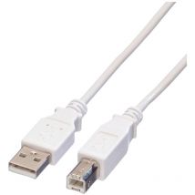 ITB - Value Câble usb usb 2.0 usb-a mâle, usb-b mâle 4.50 m blanc blindé 11.99.8841 S369132