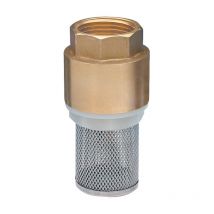 Valvola anti-ritorno con filtro in acciaio inox F26x34 Noyon&thiebault