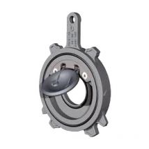 Ferrari Srl - clapet anti-retour (sans ressort) clapet anti-retour dn100