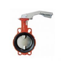 Buracco - Válvula de mariposa con orejas de centrado fundición DN65