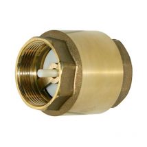 Iberogarden - Válvula De Retención De 1 1/2 pulgada de acero galvanizado calidad superior