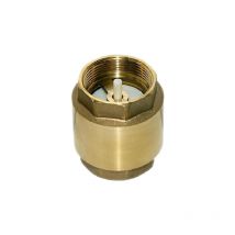 Valvula De Retencion Rosca 1 12 Laton 40 Mm De Diametro Para Control De Agua Exclusives Angebot