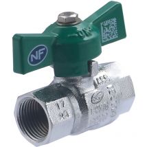 Noyon&thiebault - Vanne d'arrêt nf manette papillon femelle F12x17 (3/8)