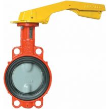 Buracco - vanne papillon gaz oreilles guide fte/20mb-6b 50 Ø100