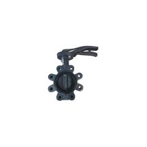 Watts Industries - Vanne Papillon Xylia2 À Oreilles Taraudées - 100 Mm - 16 Bar