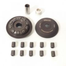 Variateur Yasuni Pour Scooter Piaggio 50 Sphere Neuf
