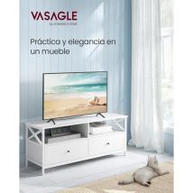 Vasagle Mueble de tv, Mesa de tv de hasta 55 Pulgadas, Largo de 120 cm, con 2 Cajones y 2 Estantes Abiertos, 40 x 120 x 50 cm, para Salón,