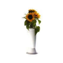 Vase À Fleurs Jolly Avec Base Blanche, 14 Cm De Diamètre, 35 Cm De Hauteur