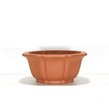 Pollice Verde - Vaso bonsai in gres fior di loto cm. 57