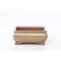 Vaso bonsai smaltato rettangolare cm. 16 Beige
