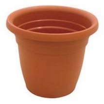 Vaso campana thea - CM.55X37H.