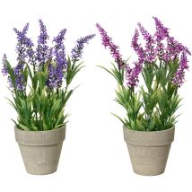 Vaso con lavanda D.11XH31CM in plastica – 11cm diametro, 31cm altezza – EVERLANDS