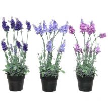 Lavanda artificiale colori assortiti