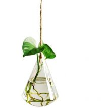 Vaso in vetro da appendere per talee