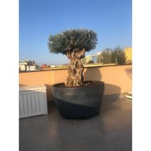 Vivaio Garden Forest - vaso jumbo in resina da 122CM ø grigio antracite vaso, fioriera grande - Colore: Antracite